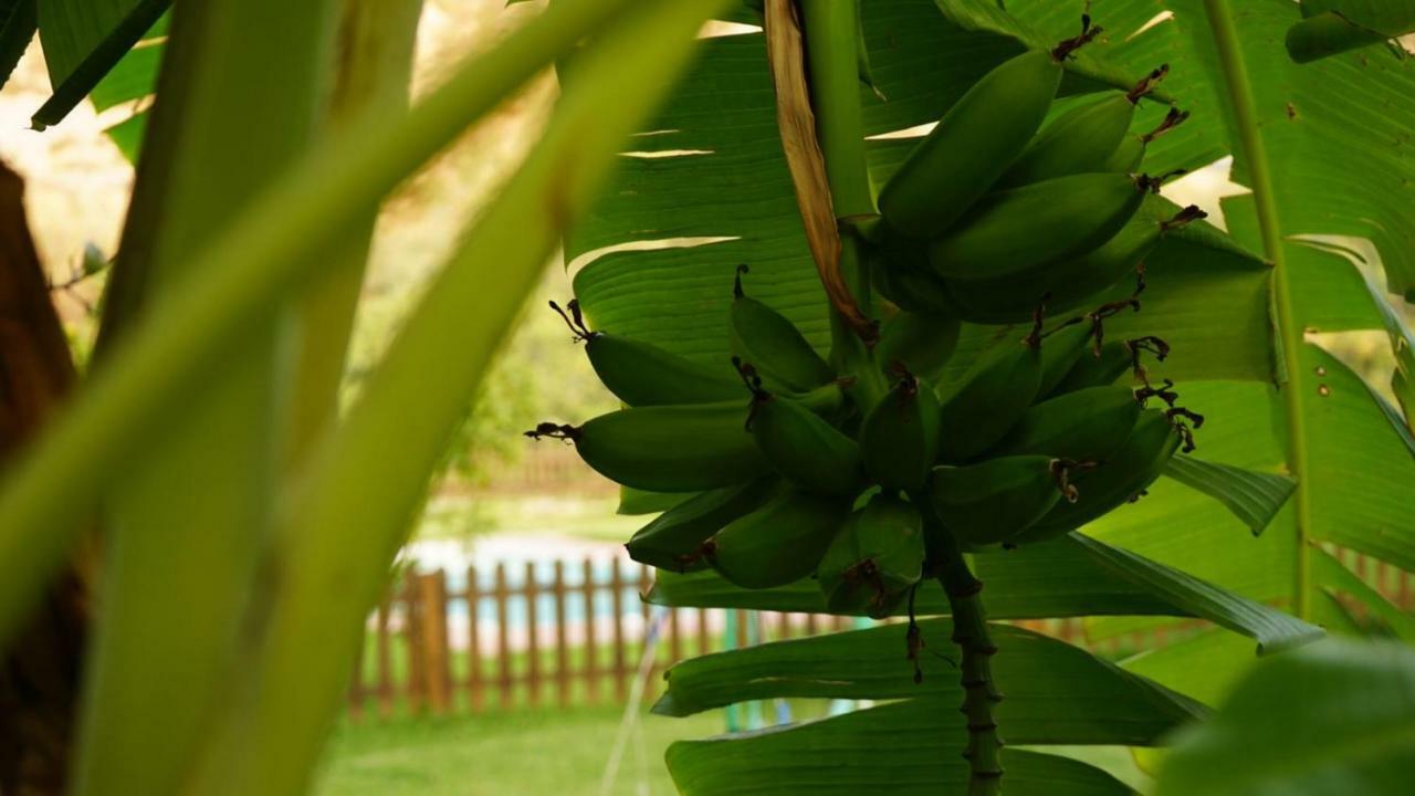 Tropical Studio Orgiva Exteriér fotografie